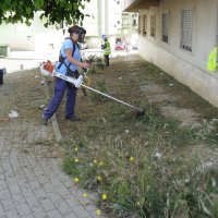  Limpeza e desmatação 